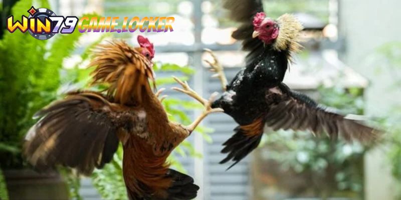 Những trận đấu kịch tính đáng chú ý