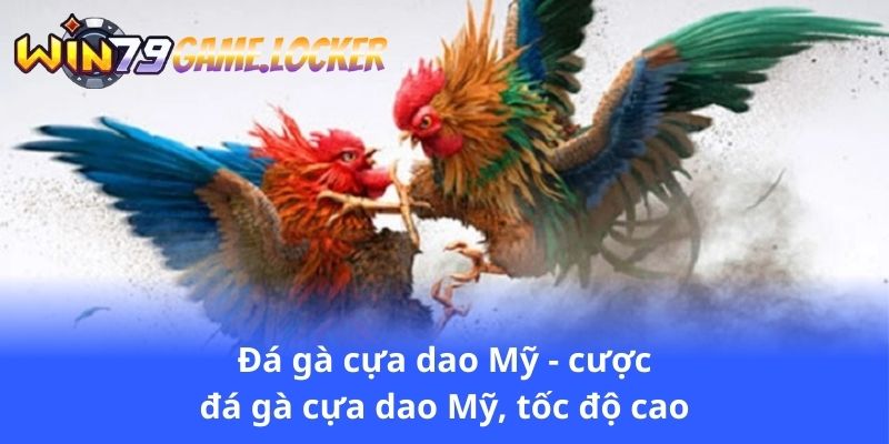 da-ga-cua-dao-my-cuoc-da-ga-cua-dao-my-toc-do-cao
