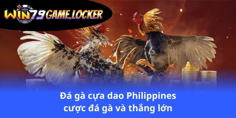 da-ga-cua-dao-philippines-cuoc-da-ga-va-thang-lon