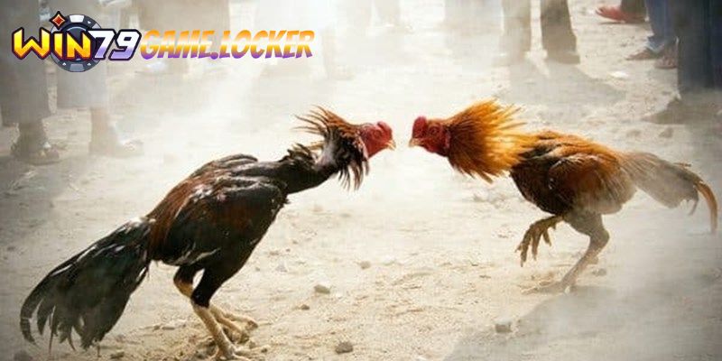 Chiến thuật và kỹ năng tham gia