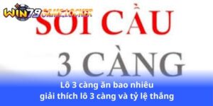lo-3-cang-an-bao-nhieu-giai-thich-lo-3-cang-va-ty-le-thang