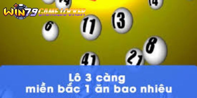 Giới thiệu về lô 3 càng