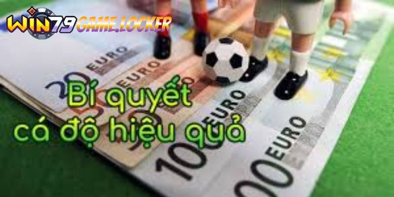 Chiến lược cá độ hiệu quả